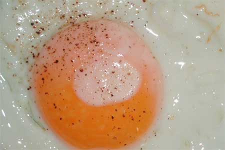 Savory Eggs