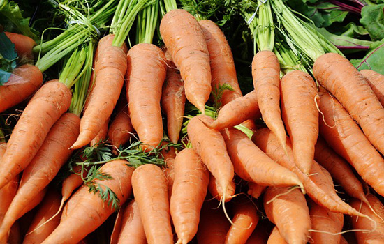 Carrots Carrots