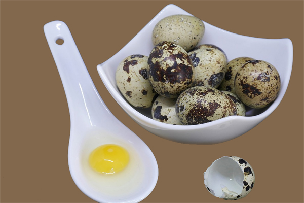 Quail Eggs