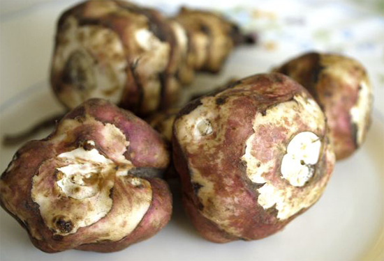 Jerusalem Artichokes Jerusalem Artichokes